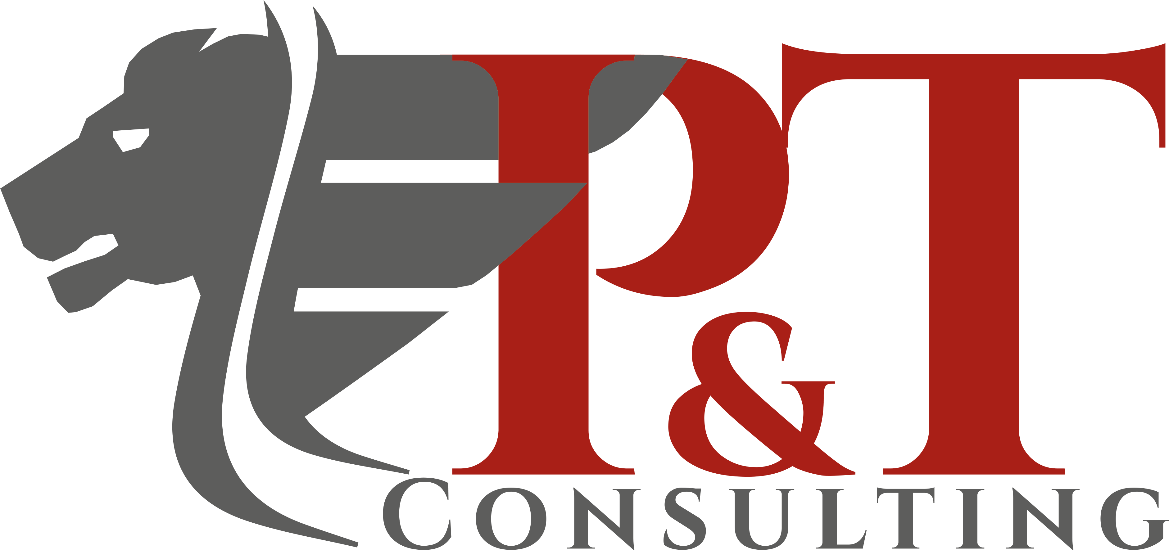 P&T Consulting SAS