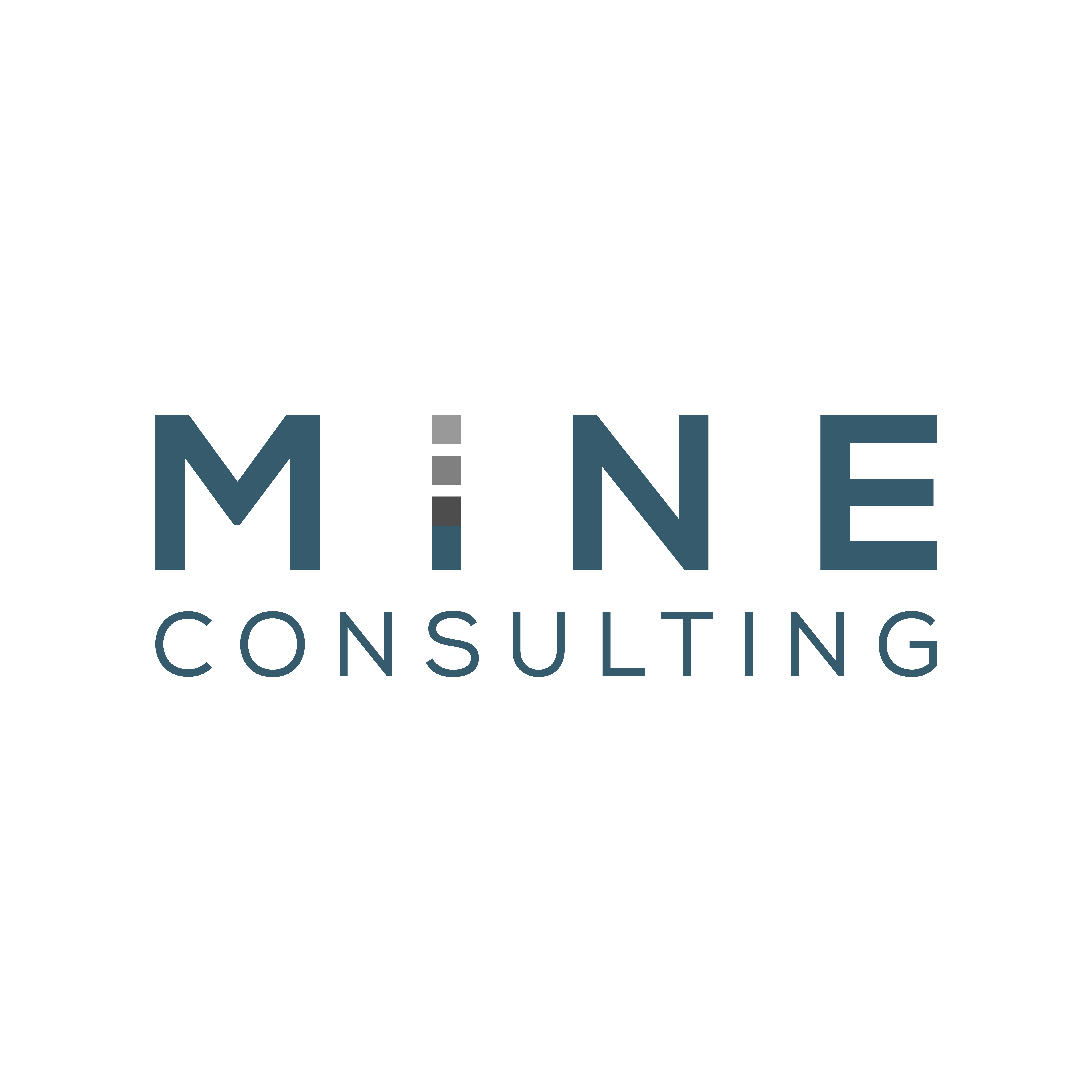 Mine Consulting Srl